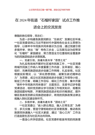 在2024年街道“石榴籽家园”试点工作推进会上的交流发言