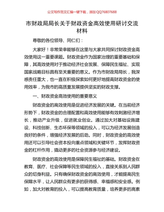 市财政局局长关于财政资金高效使用研讨交流材料