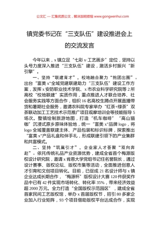 镇党委书记在“三支队伍”建设推进会上的交流发言