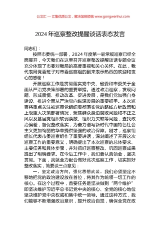 2024年巡察整改提醒谈话表态发言 (2)