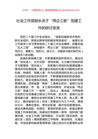 社会工作部部长关于“两企三新”党建工作的研讨发言