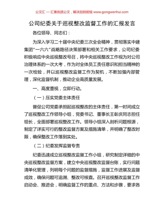 公司纪委关于巡视整改监督工作的汇报发言
