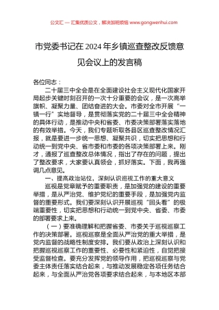 市党委书记在2024年乡镇巡查整改反馈意见会议上的发言稿
