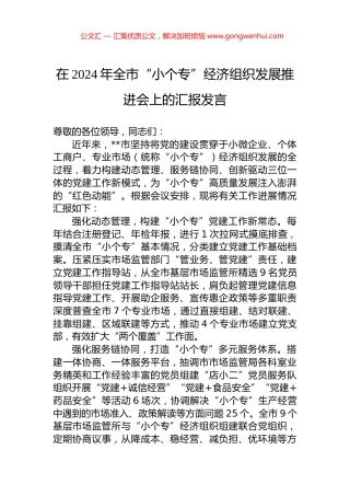 在2024年全市“小个专”经济组织发展推进会上的汇报发言