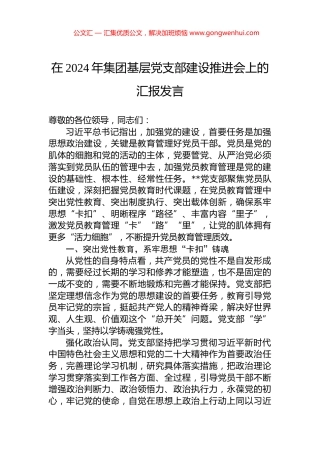 在2024年集团基层党支部建设推进会上的汇报发言