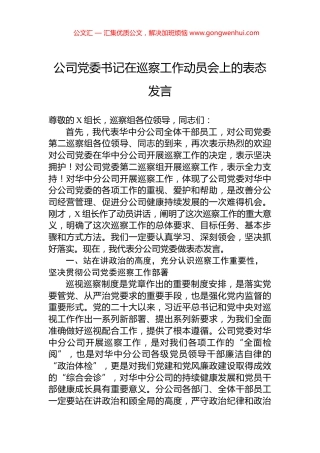 公司党委书记在巡察工作动员会上的表态发言 (2)