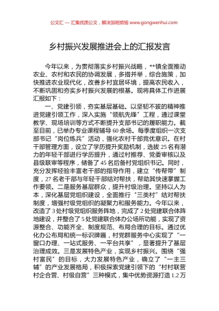 乡村振兴发展推进会上的汇报发言