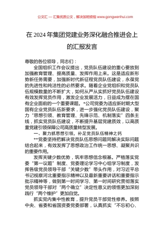 在2024年集团党建业务深化融合推进会上的汇报发言