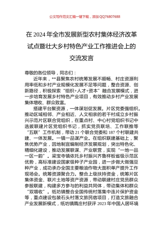 在2024年全市发展新型农村集体经济改革试点暨壮大乡村特色产业工作推进会上的交流发言