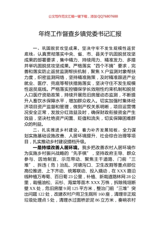 年终工作督查乡镇党委书记汇报