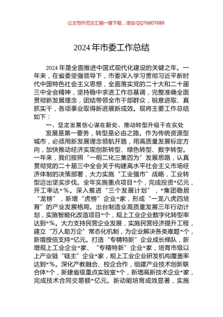 2024年市委工作总结