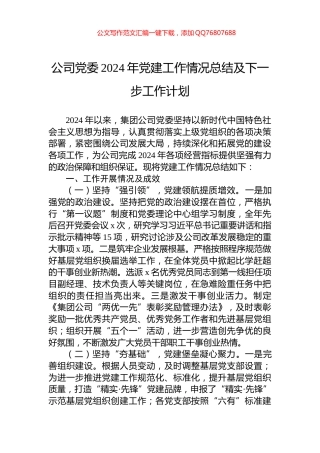 公司党委2024年党建工作情况总结及下一步工作计划
