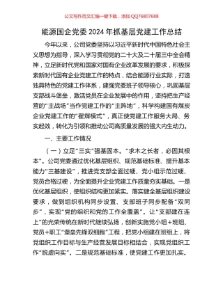 能源国企党委2024年抓基层党建工作总结