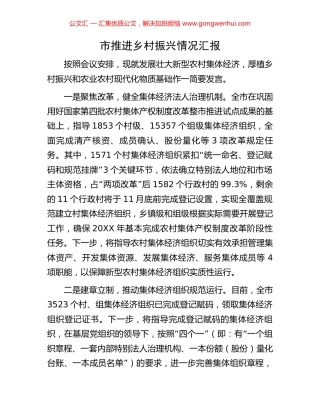 市推进乡村振兴情况汇报