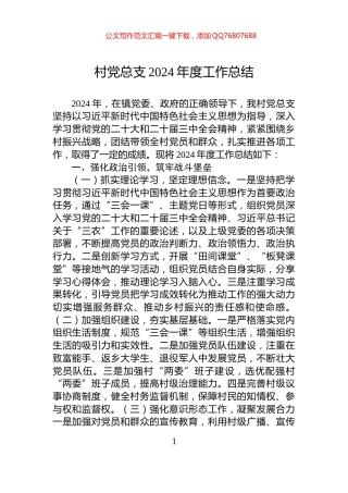 村党总支2024年度工作总结