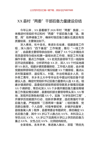 XX县村“两委”干部后备力量建设总结