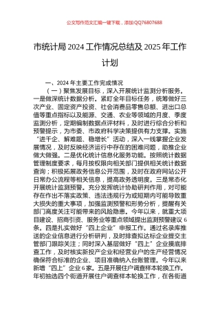 市统计局2024工作情况总结及2025年工作计划