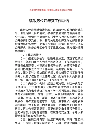 镇政务公开年度工作总结