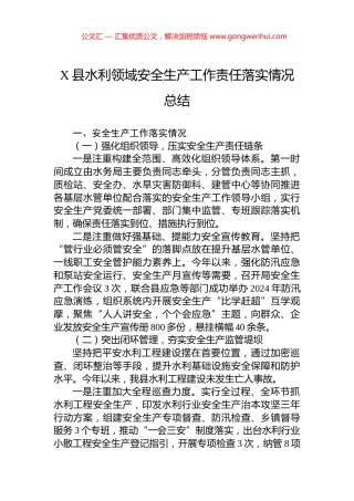 X县水利领域安全生产工作责任落实情况总结