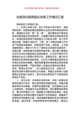 全面深化国资国企改革工作情况汇报