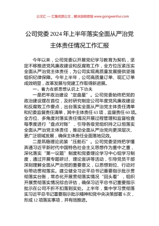 公司党委2024年上半年落实全面从严治党主体责任情况工作汇报