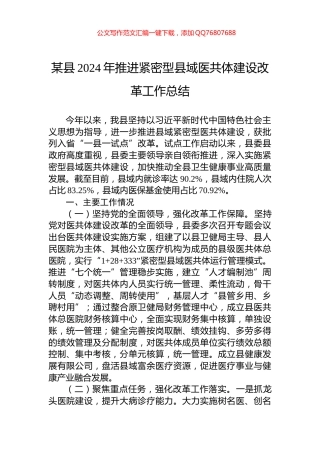 某县2024年推进紧密型县域医共体建设改革工作总结