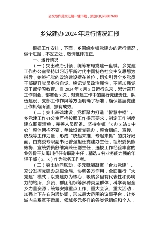 乡党建办2024年运行情况汇报
