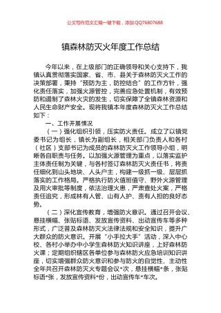 镇森林防灭火年度工作总结