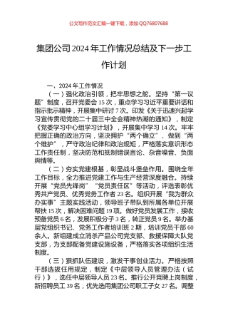 集团公司2024年工作情况总结及下一步工作计划
