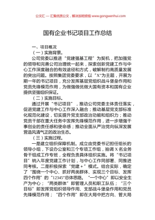 国有企业书记项目工作总结