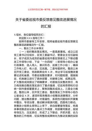 关于省委巡视市委反馈意见整改进展情况的汇报