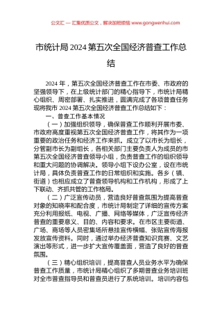 市统计局2024第五次全国经济普查工作总结