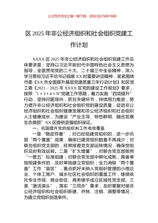 区2025年非公经济组织和社会组织党建工作计划