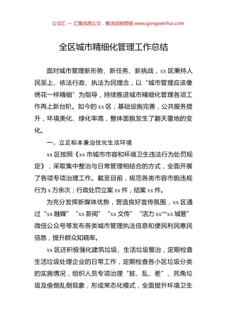 全区城市精细化管理工作总结