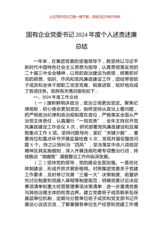 国有企业党委书记2024年度个人述责述廉总结