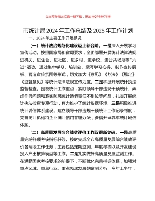 市统计局2024年工作总结及2025年工作计划