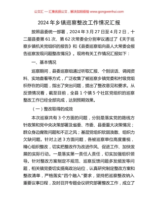 2024年乡镇巡察整改工作情况汇报