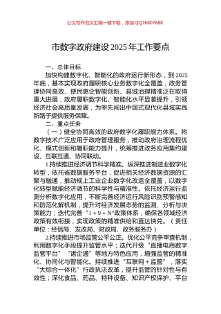 市数字政府建设2025年工作要点