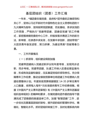 基层团组织（团委）工作汇报