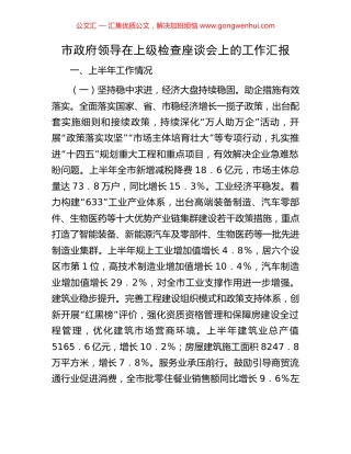 市政府领导在上级检查座谈会上的工作汇报