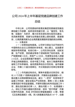 公司2024年上半年基层党建品牌创建工作总结