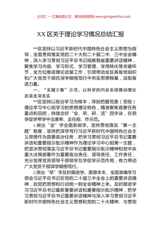 XX区关于理论学习情况总结汇报