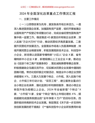 2024年全面深化改革重点工作情况汇报