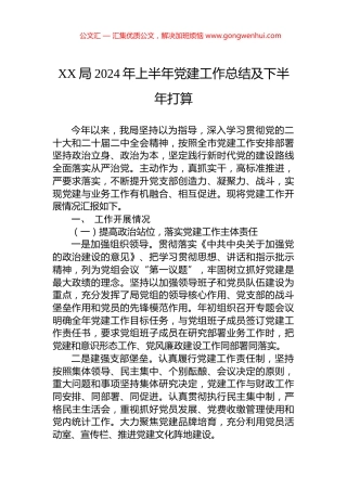 XX局2024年上半年党建工作总结及下半年打算