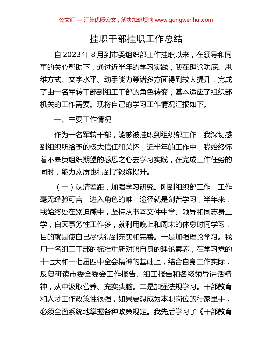 挂职干部挂职工作总结_第1页