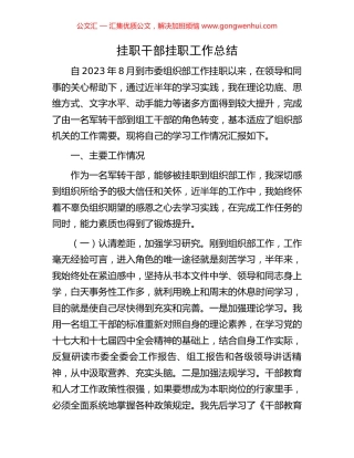 挂职干部挂职工作总结