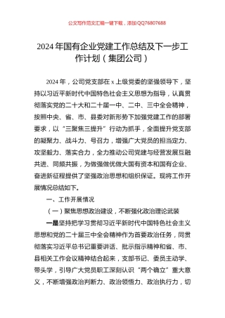 2024年国有企业党建工作总结及下一步工作计划（集团公司）