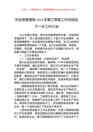 市应急管理局2024年第三季度工作总结及下一步工作计划