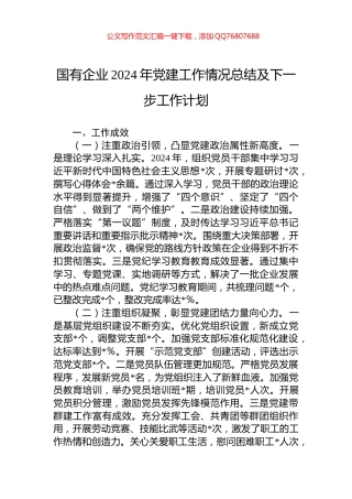 国有企业2024年党建工作情况总结及下一步工作计划