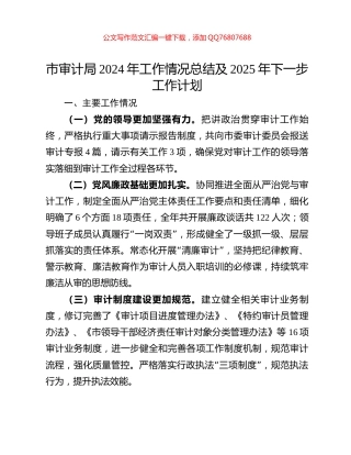 市审计局2024年工作情况总结及2025年下一步工作计划
